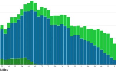 Cashflow Modelling – its your future.